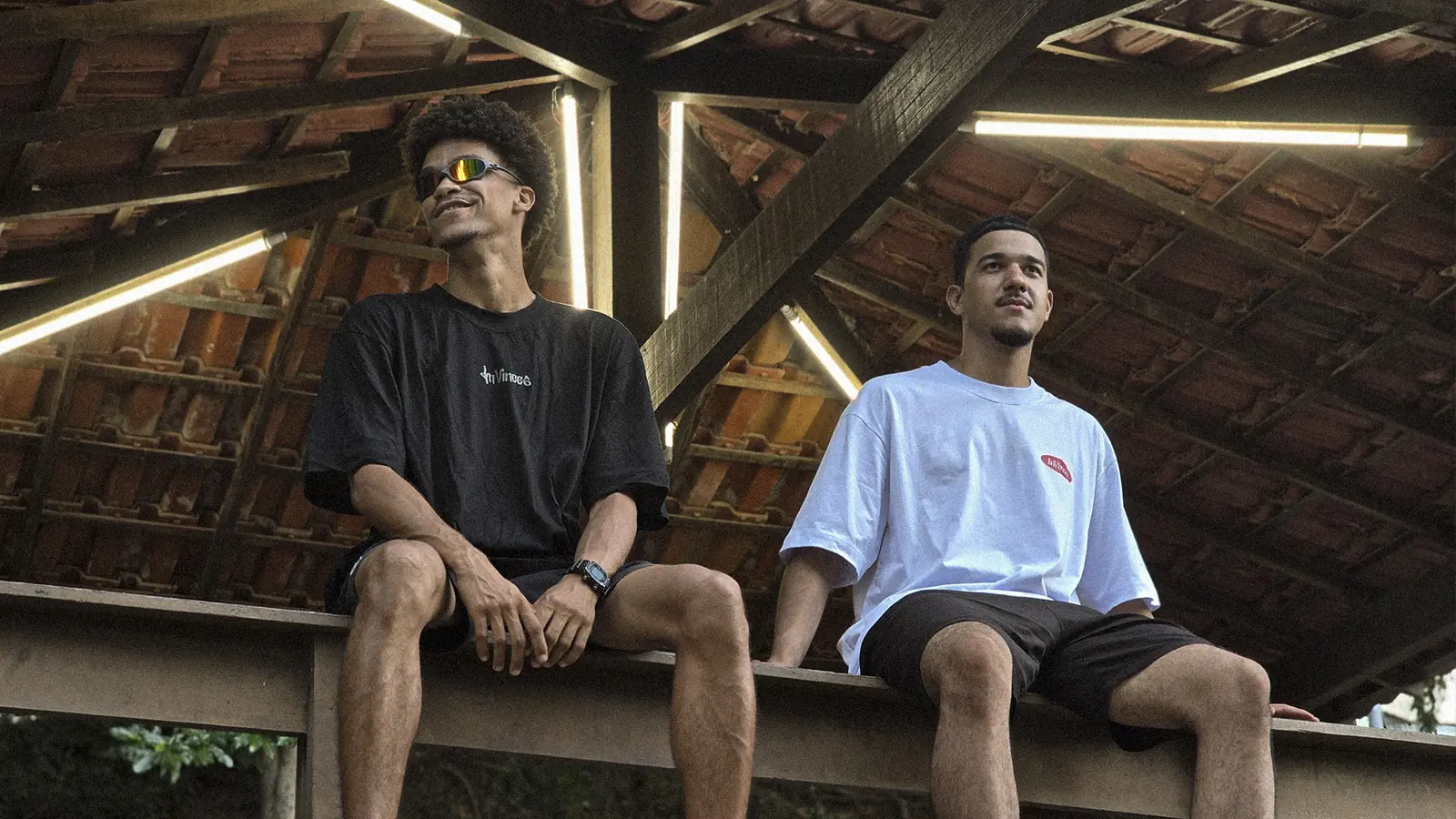 Projeto INVINCES